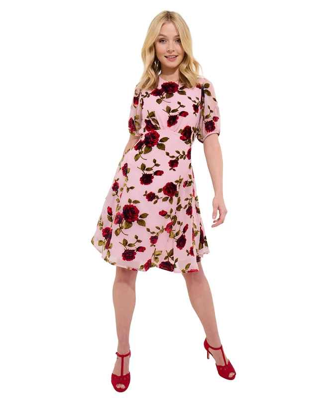 Joe Browns Women's Vintage Inspired Devore Rose Mini Dress, Pink, 16 - Image 1