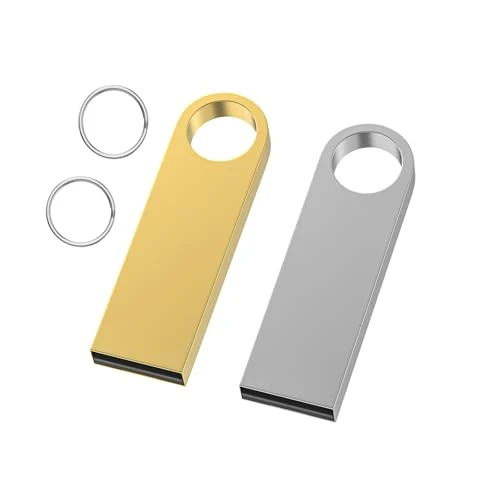 1GB USB Flash Drive 2 Pack with Keychains, Wooolken Sleek Metal USB 2.0 Thumb Drives Memory Stick for PC Laptop Computer
