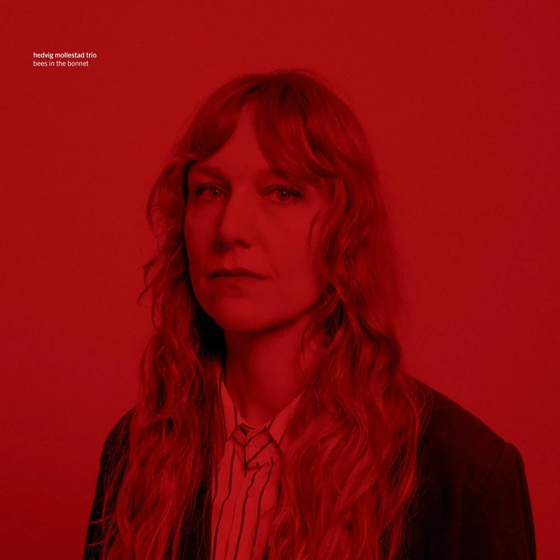 Rune Grammofon Bees In The Bonnet - Jazz Digital Album