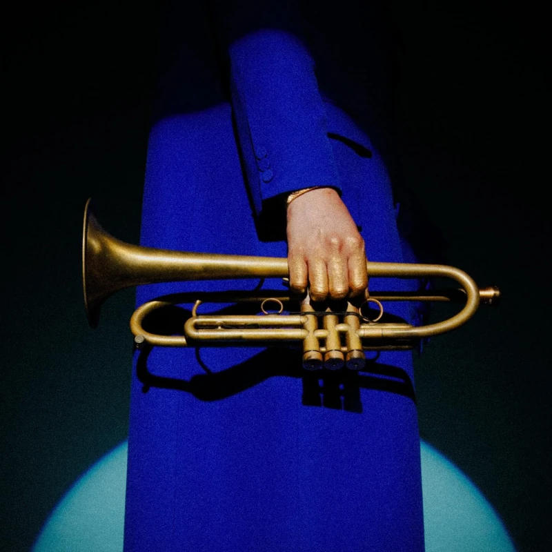 Dream Manifest Jazz Album - Digital Download by Dom Recs