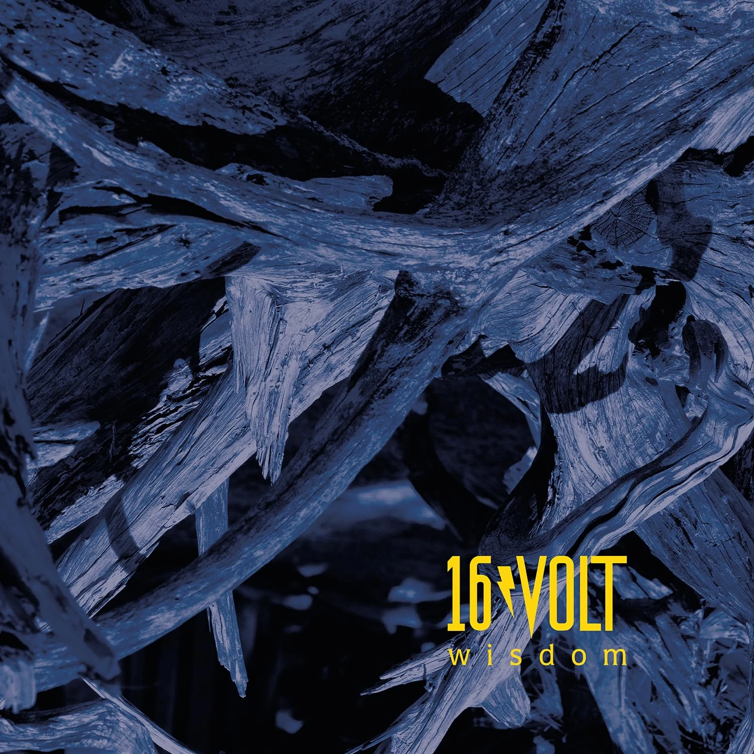 WISDOM [LIMITED EDITION YELLOW VINYL] [VINYL]