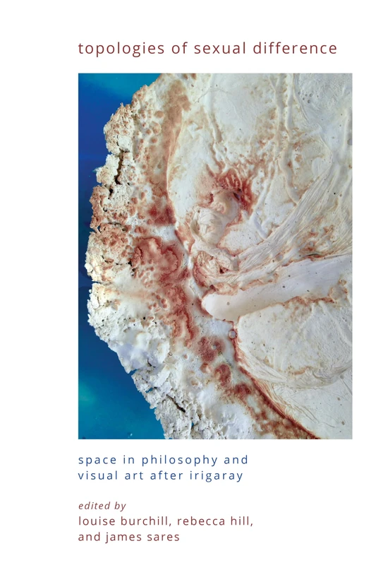 Topologies of Sexual Difference: Space in Philosophy and Visual Art After Irigaray (SUNY series in Gender Theory)