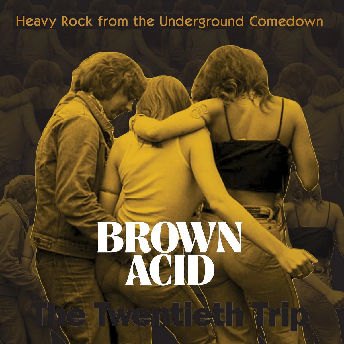Brown Acid: The Twentieth Trip [VINYL]