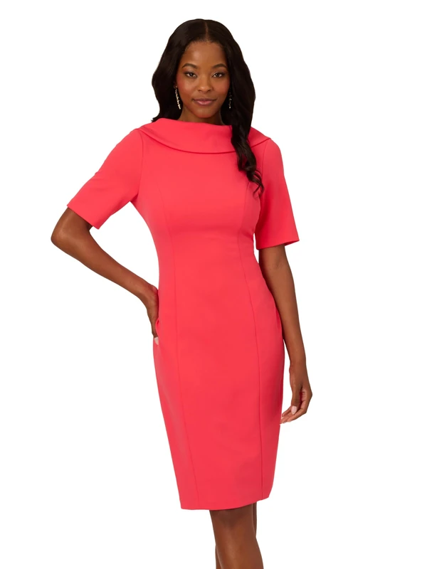 Adrianna Papell Women's Roll Neck Sheath with V Back, Beach Rose, 18 Plus