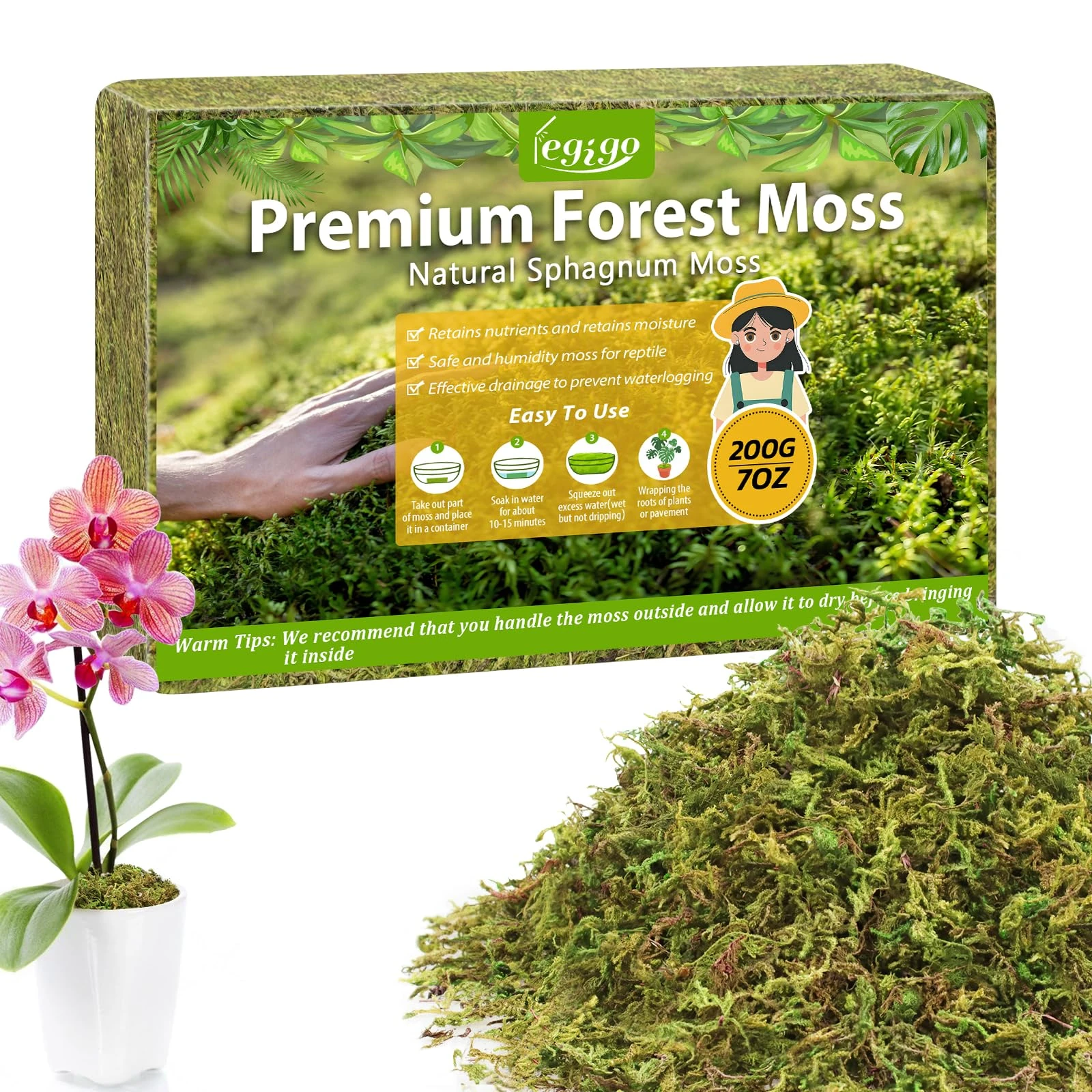 Legigo 200g Premium Forest Moss for Plants, 8 L Natural Green Sphagnum Moss for Potted Plants, Dried Orchid Moss Potting Mix, Soft Real Moss Decorative for Houseplants Orchids Succulents Reptiles