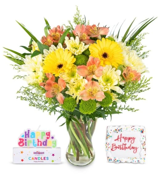 Seasons Joy - Fresh Flowers - Birthday, Anniversary, Get Well, Thank You, Occasion Flower - Cut Floral Arrangement for Gifts, Weddings, Sympathy, Celebrations. (+ Birthday Cake and Candles)