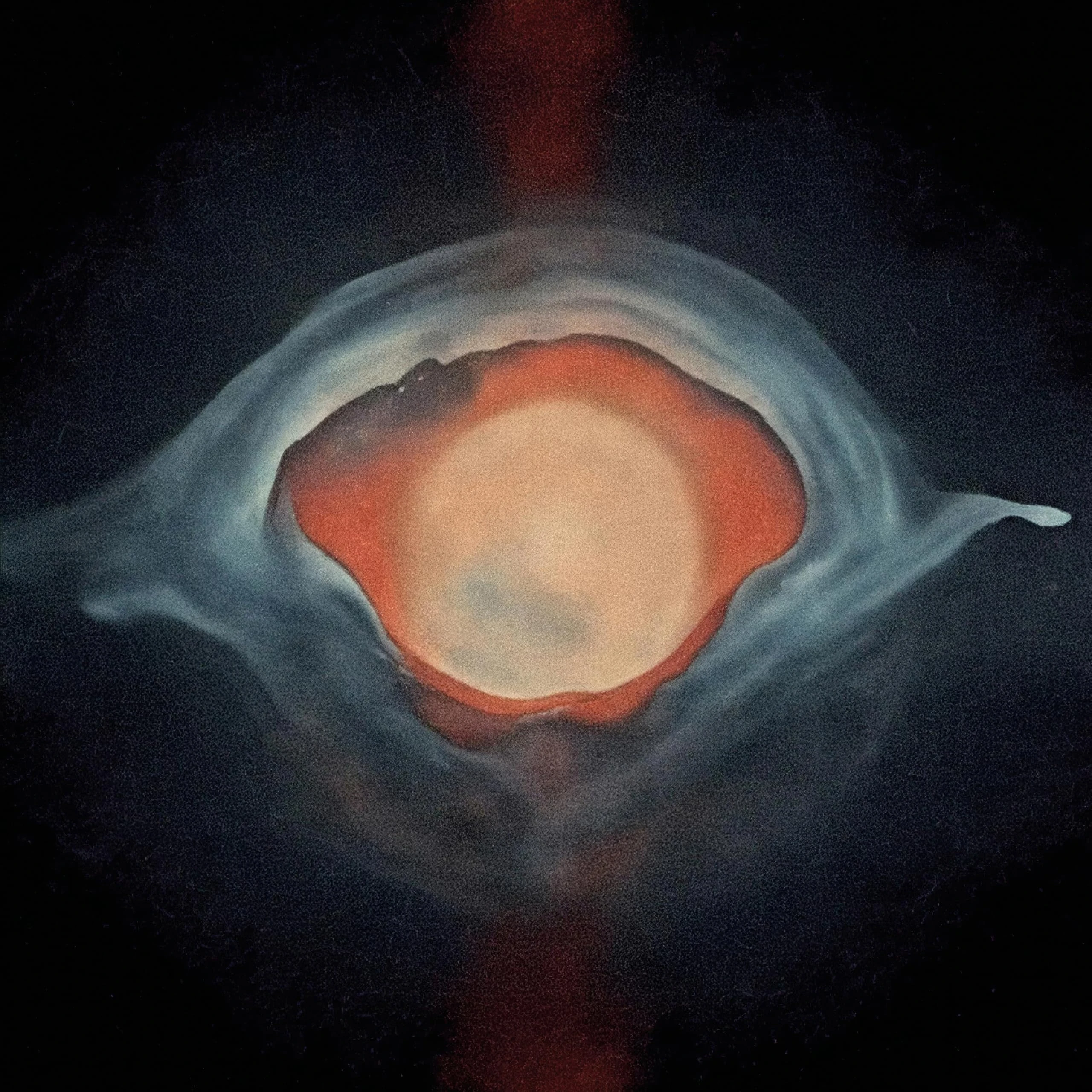 From Word to Flesh [VINYL]