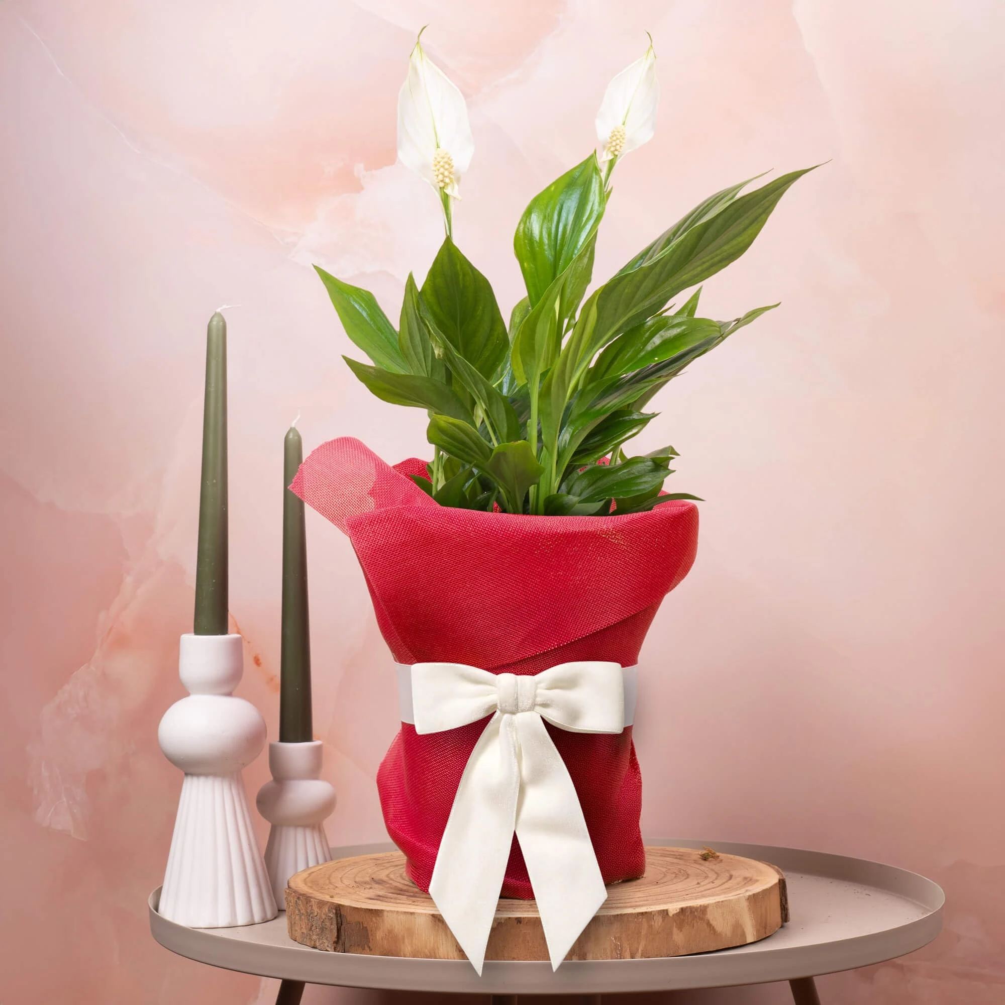 GardenersDream Spathiphyllum Peace Lily Plant Gift - Indoor Real Houseplant for Birthday, Anniversary & Mother's Day Gifting - Red Hessian Wrapping, White Bow & Custom Message Card (9cm Pot, 20-30cm)