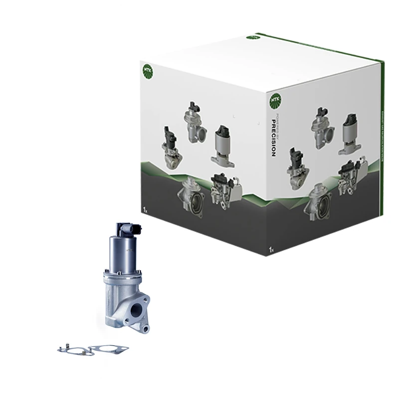 NTK EGR Valve EGE5-D038 95819