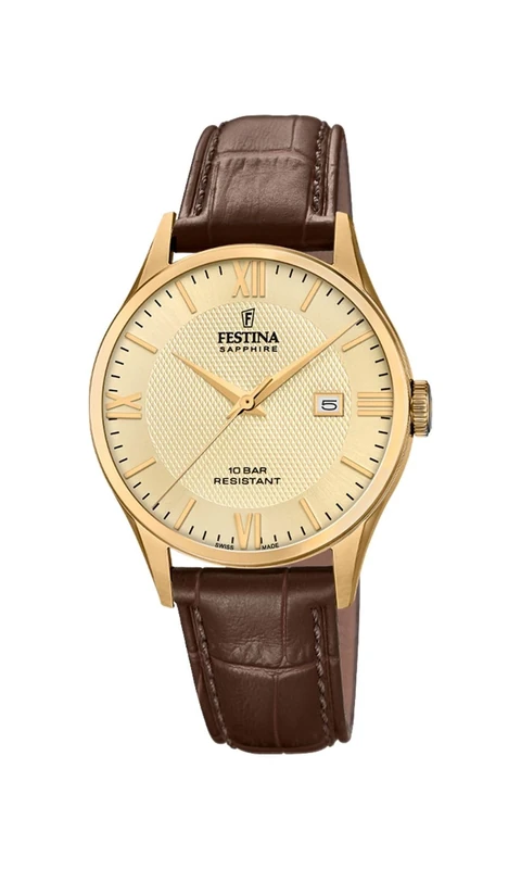 Festina Casual Watch F20010/5