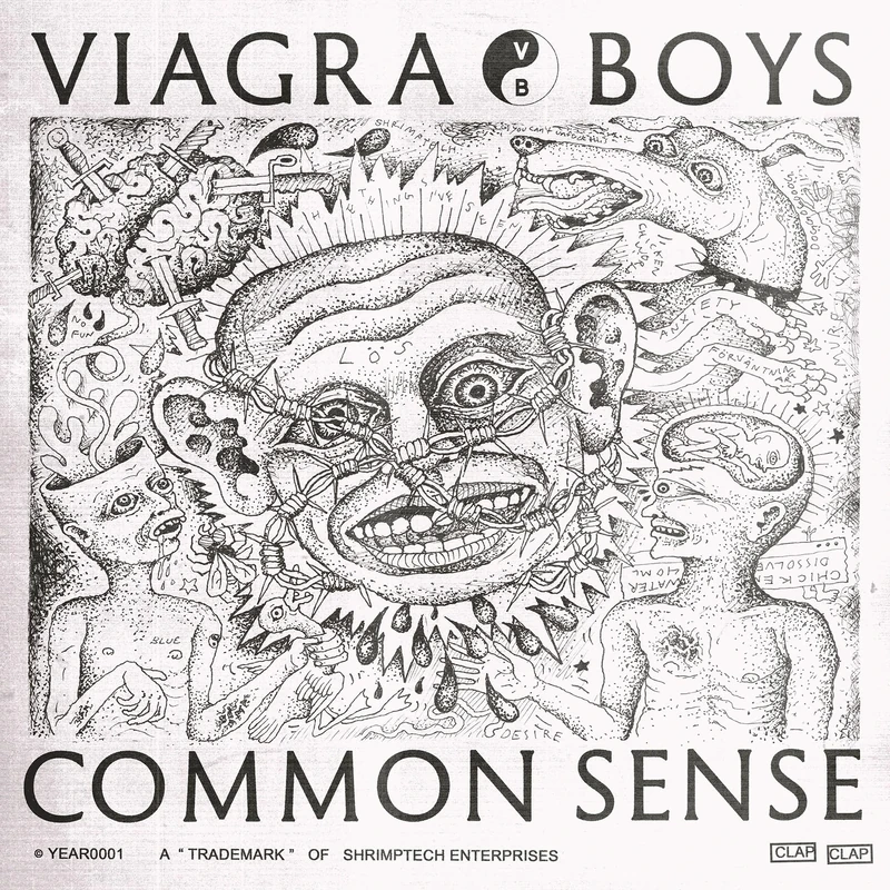 Common Sense [Explicit] - Rock Digital Music by YEAR0001 - Image 1