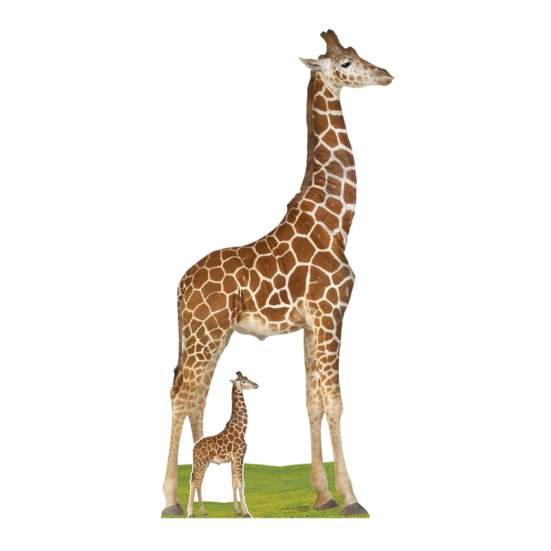 Star Cutouts SC4568 Giraffe Cardboard Cut Out Height 196cm - Ideal for Animal Lovers, Birthdays & Room Decorations
