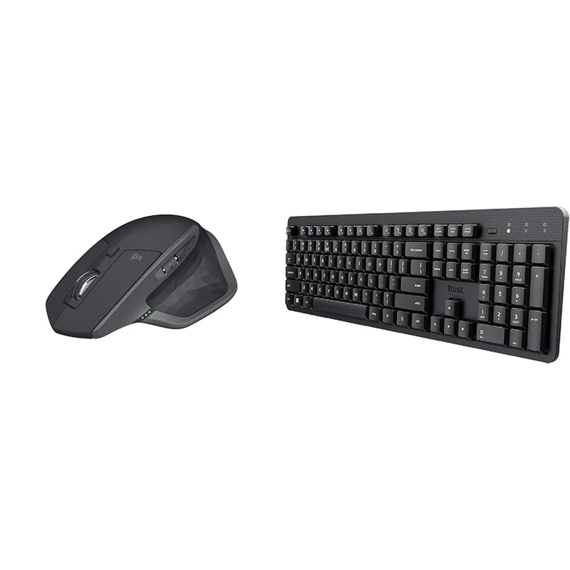 Logitech MX Master 2S & Trust Ody II Silent Wireless Keyboard