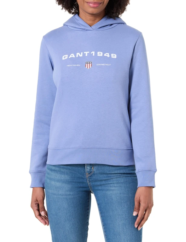 GANT REG Graphic Hoodie, Greyish Blue, S
