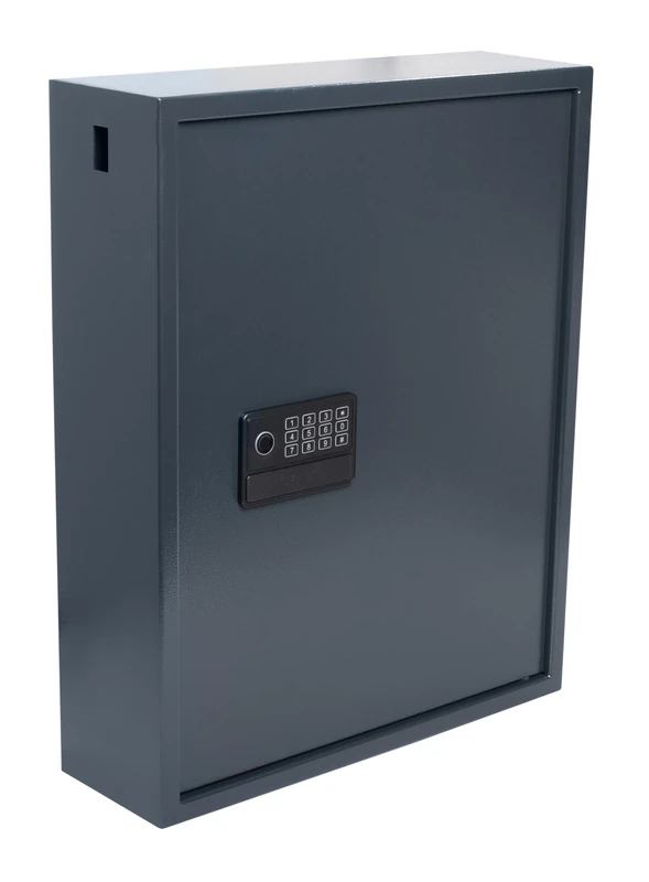 Pavo - High Security Key Cabinet for 100 Keys, 8025152