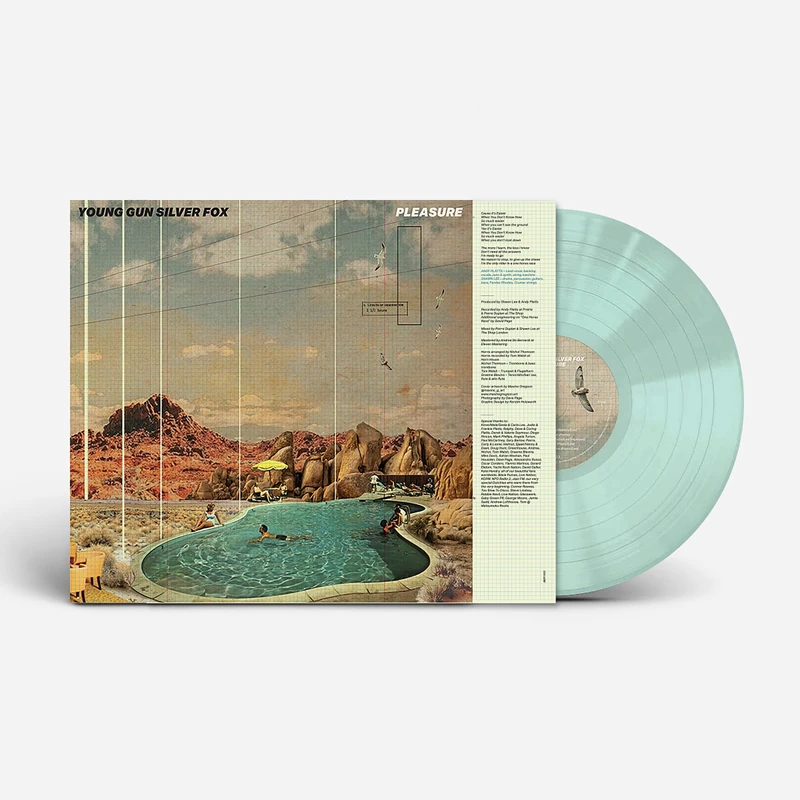 Pleasure [Vinyl LP] [VINYL]