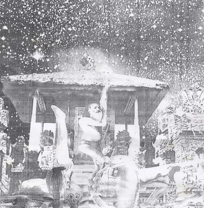 Snakinist Sand Form/No Jaw Nite Rights [VINYL]