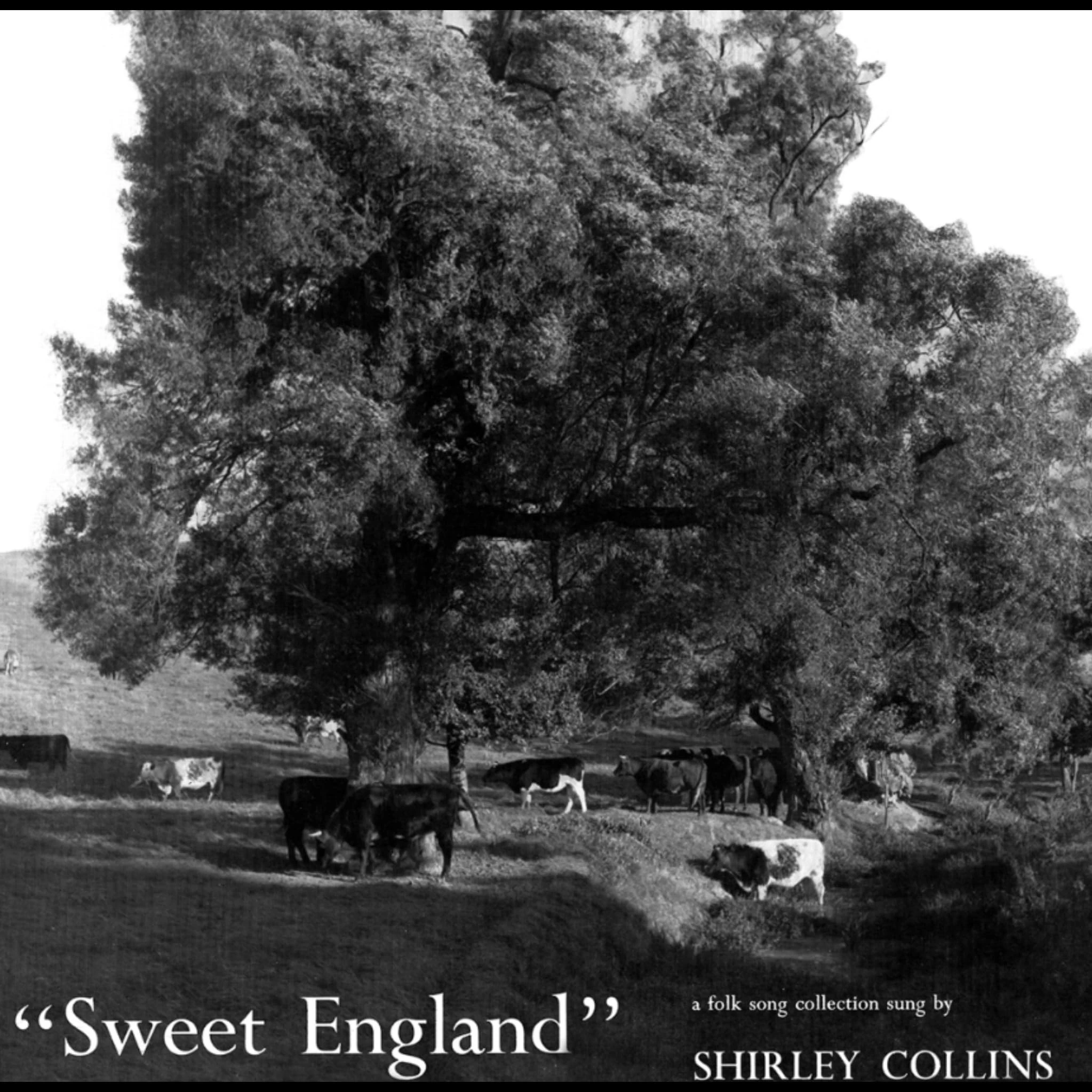 Sweet England [VINYL]