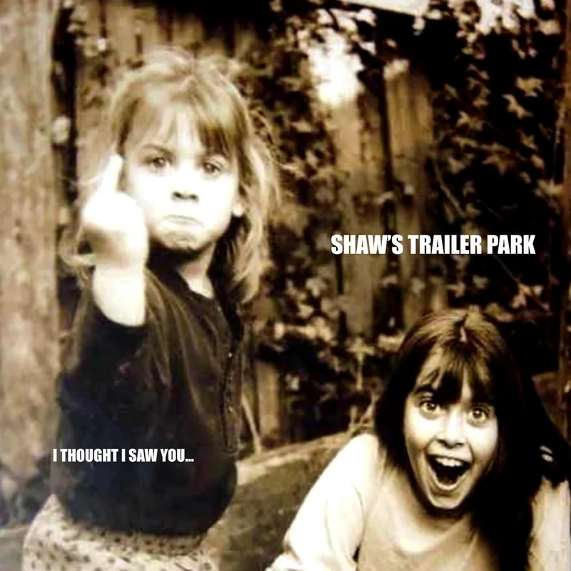 Irregular Records - I Thought I Saw You... Digital Rock Album