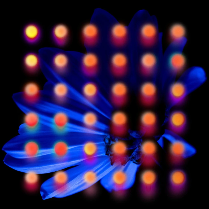 Nevertake [Vinyl LP] [VINYL]