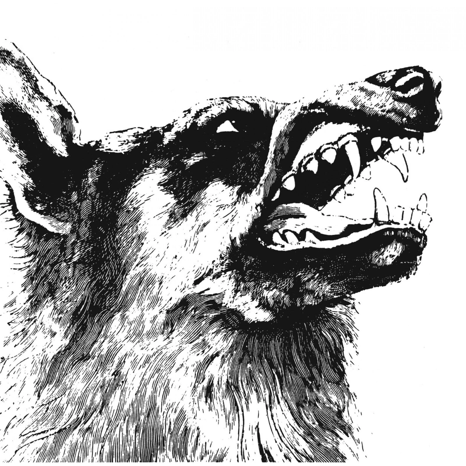 I, Vigilante [VINYL]