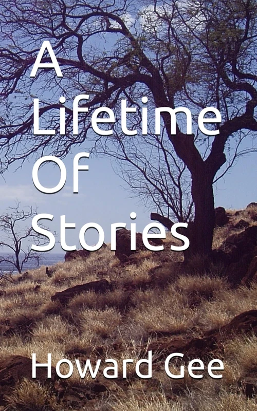 A Lifetime Of Stories