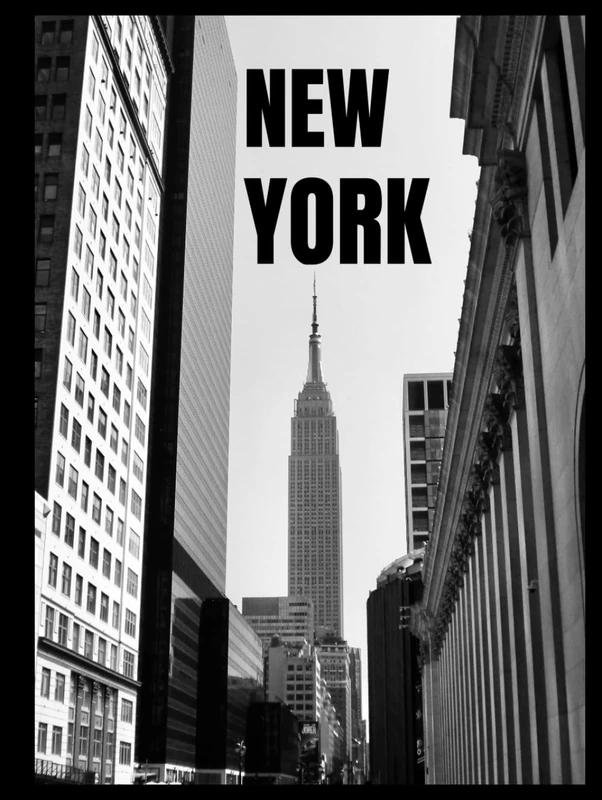 NEW YORK: New York: coffee table book /A Journey Through the City of Dreams /home decor piece /photography