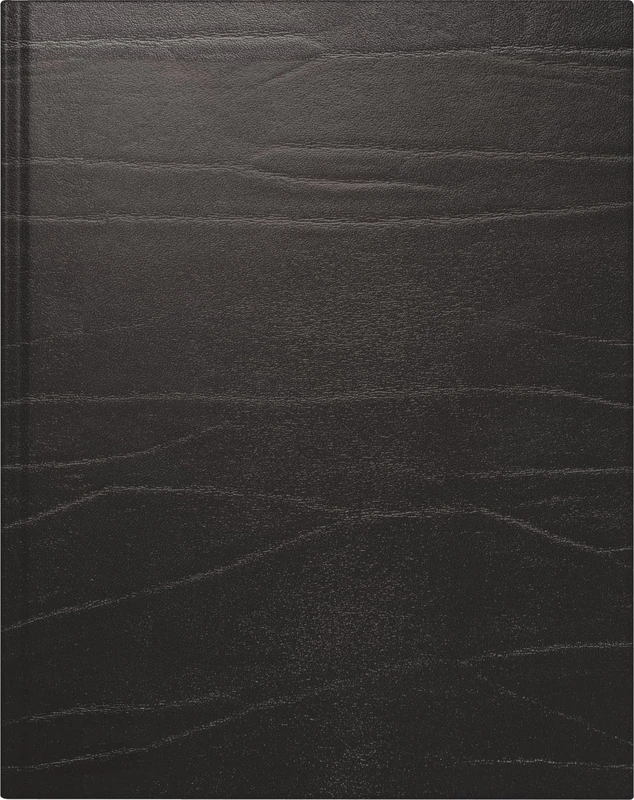 rido/idé Book Calendar Model Manager Calendar TM 2026 | 205 x 260 mm, Leather, Black