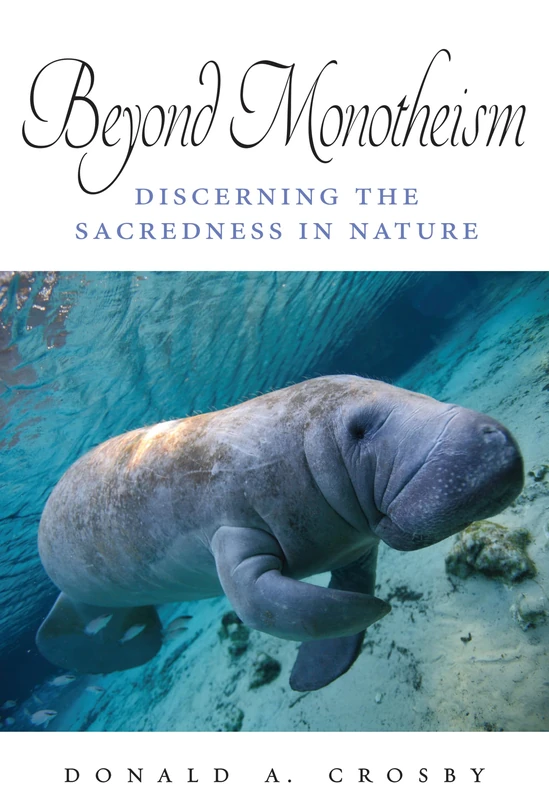 Beyond Monotheism : Discerning the Sacredness in Nature (SUNY series on Religion and the Environment)