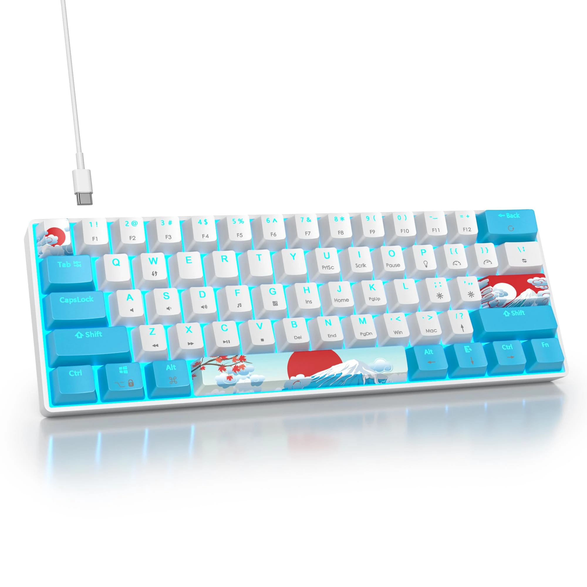 SOLIDEE 60% Mechanical Gaming Keyboard,61 Keys with Linear Red Switches,Wired Mechanical Keyboard with Ice Blue Light LED Backlit,Compact Ergonomic Design for PS5/PS4/Xbox(61 Blue White)