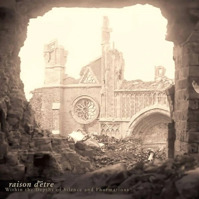 Within the Depths Of Silence... (Marbled Black / Gol [VINYL]