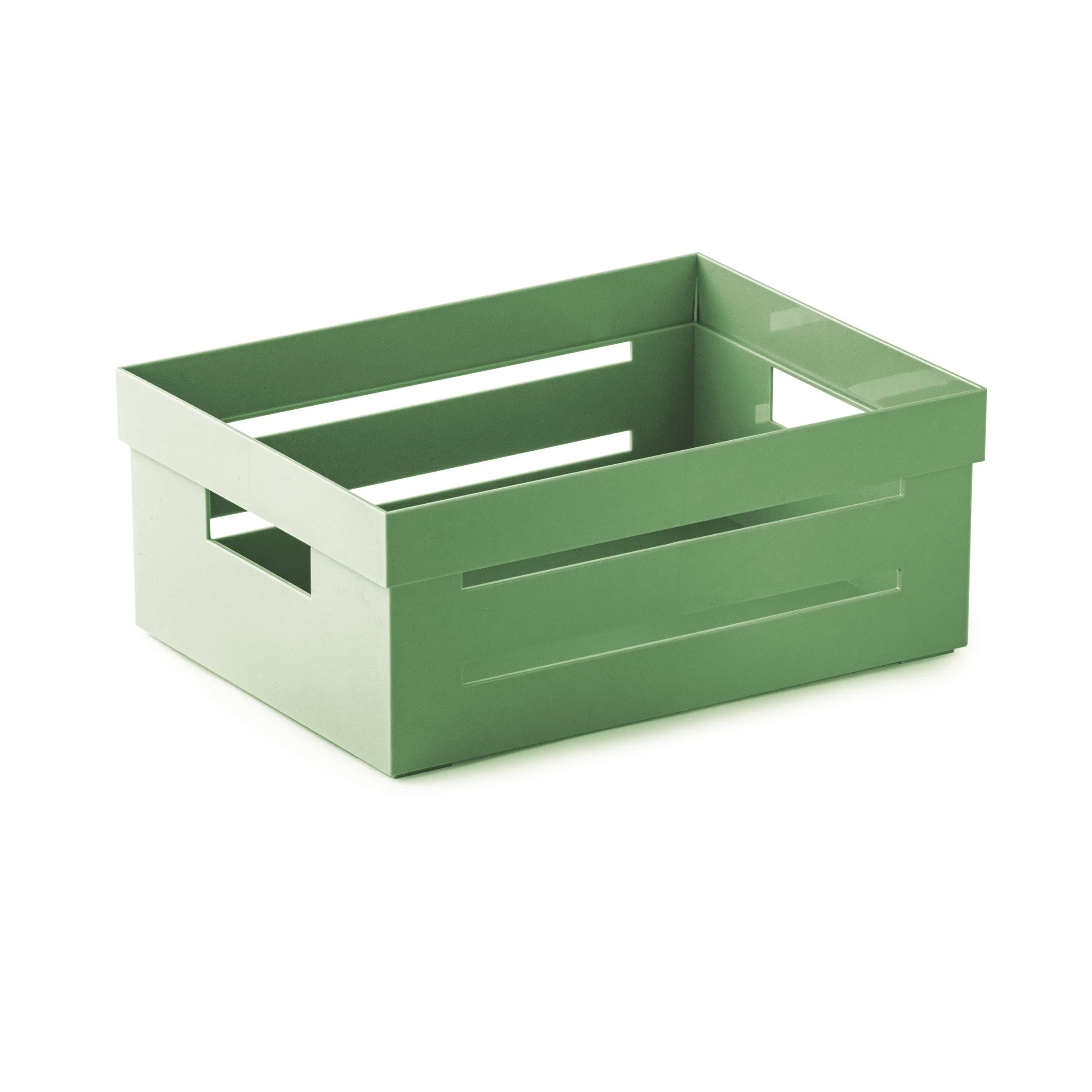 Snips, AMBIENTE,, AMBIENTE, Multi-purpose Box, Multi-purpose Organizer, Smal Box, 2 L, Green Color, 20 x 15 x 8,5 cm, Made in Italy