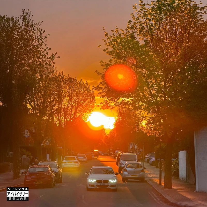 No Vi$ible Means Of Income 3 [Vinyl LP] [VINYL]