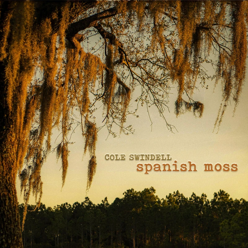Spanish Moss [Vinyl LP] [VINYL]