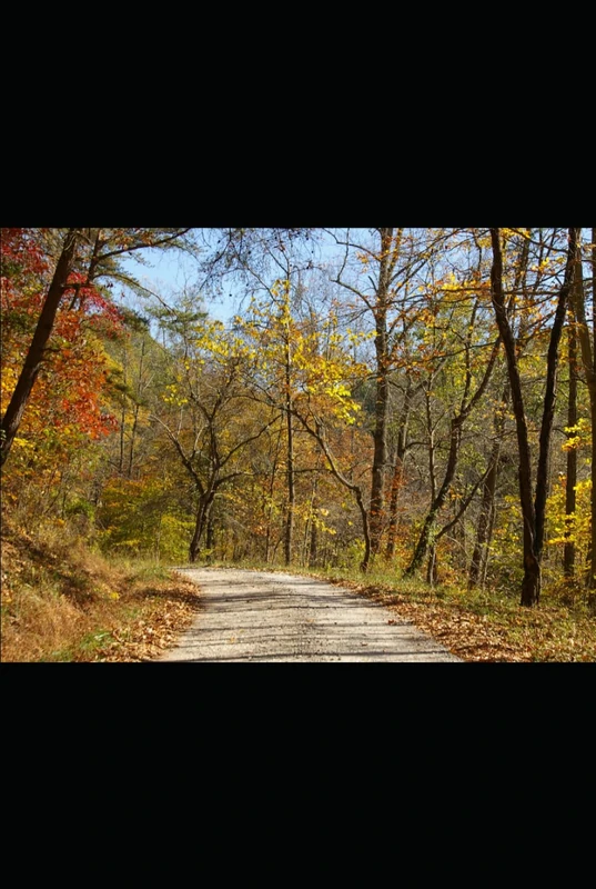 Transformed (GODS PLAN A FOR THE WORLD)