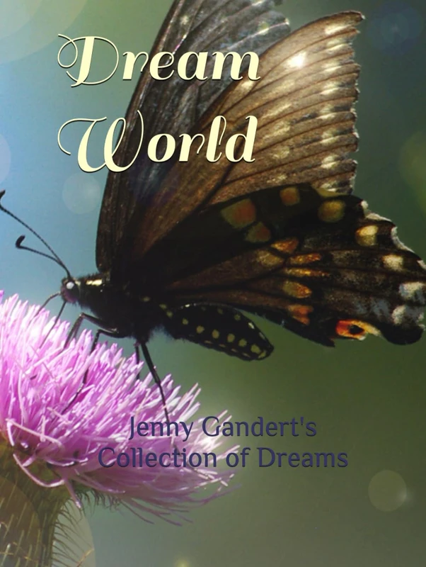 Dream World: Jenny Gandert's Collection of Dreams