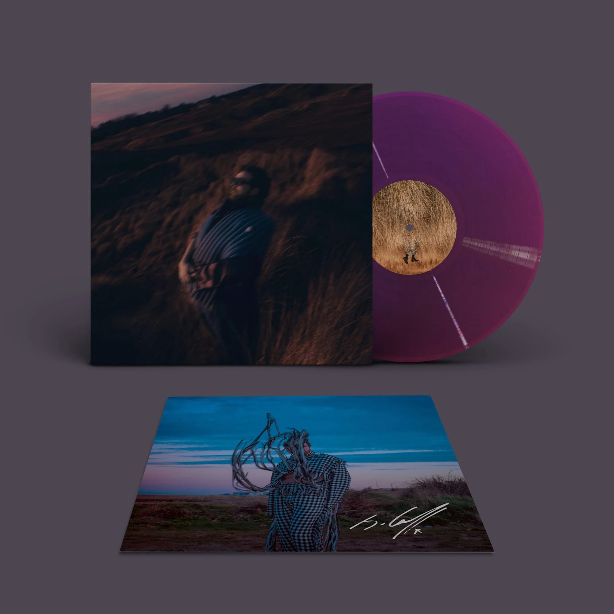 Pillars (Signed Amazon Exclusive artwork - Trans Purple LP) [VINYL]