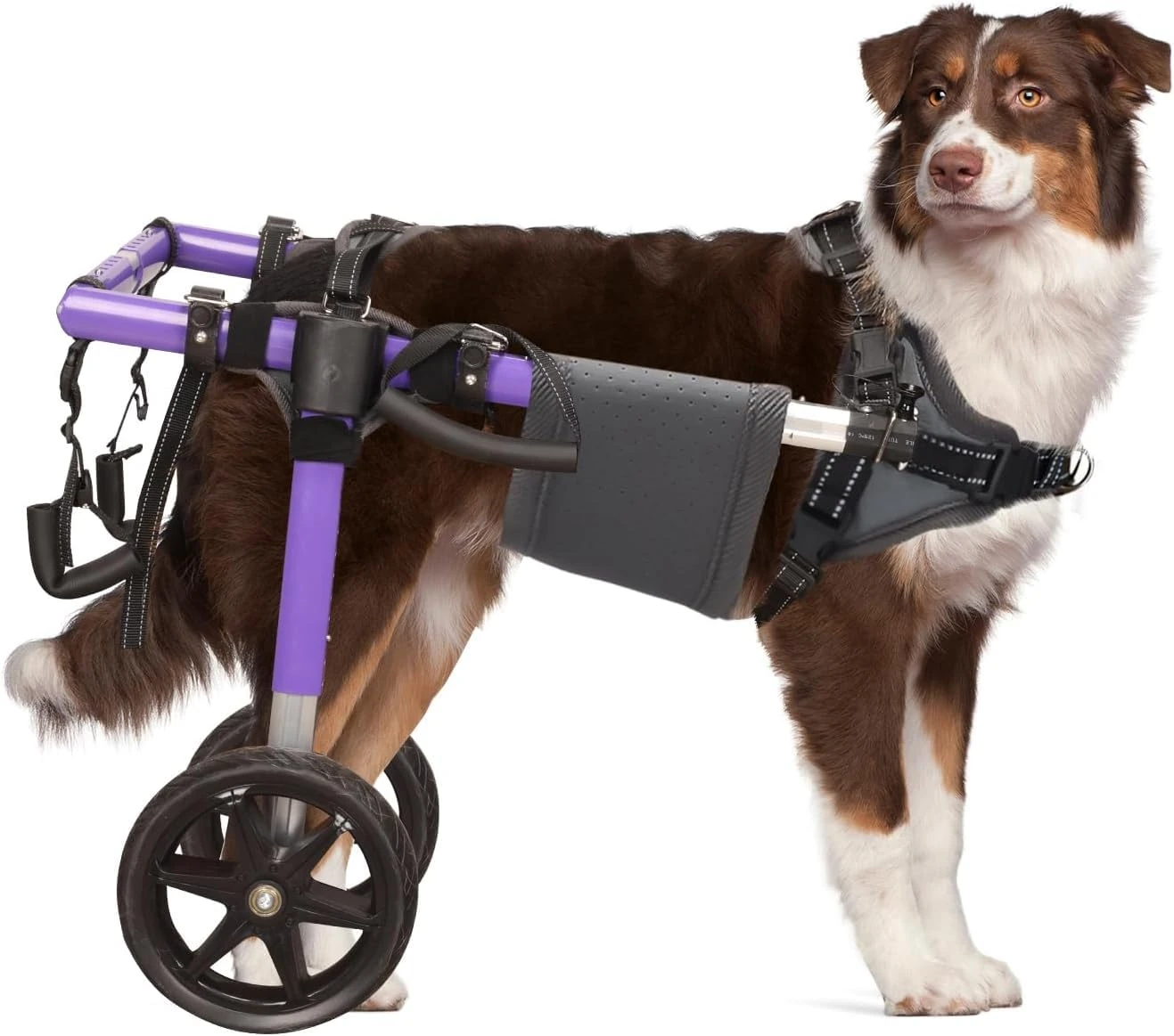 All-Terrain Dog Wheelchair for Back Legs - Lightweight & Adjustable for Medium to Large Dogs - Easy to Assemble Mobility Aid (Medium)