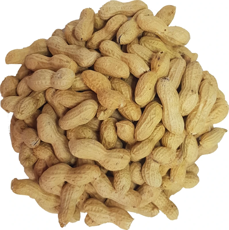 Premium Monkey Nuts for Wild Birds and Squirrels by Britten and James. Natural, High Energy, Nutritious - Whole Peanuts in Shells (3L tub)