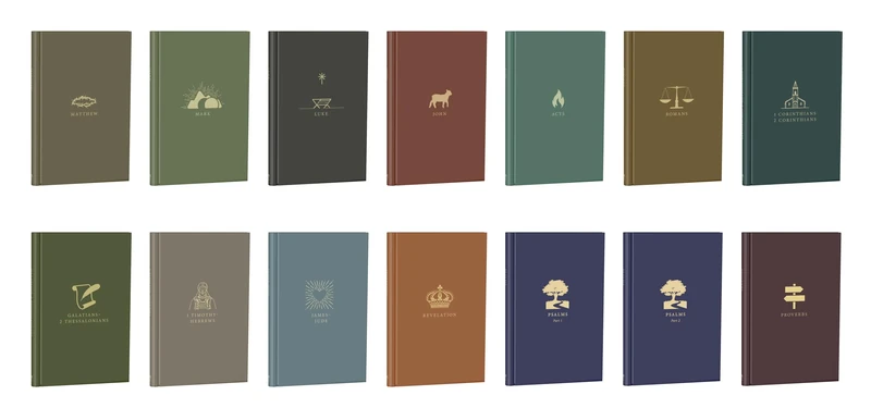 New Testament, Psalms, and Proverbs (In the Word)