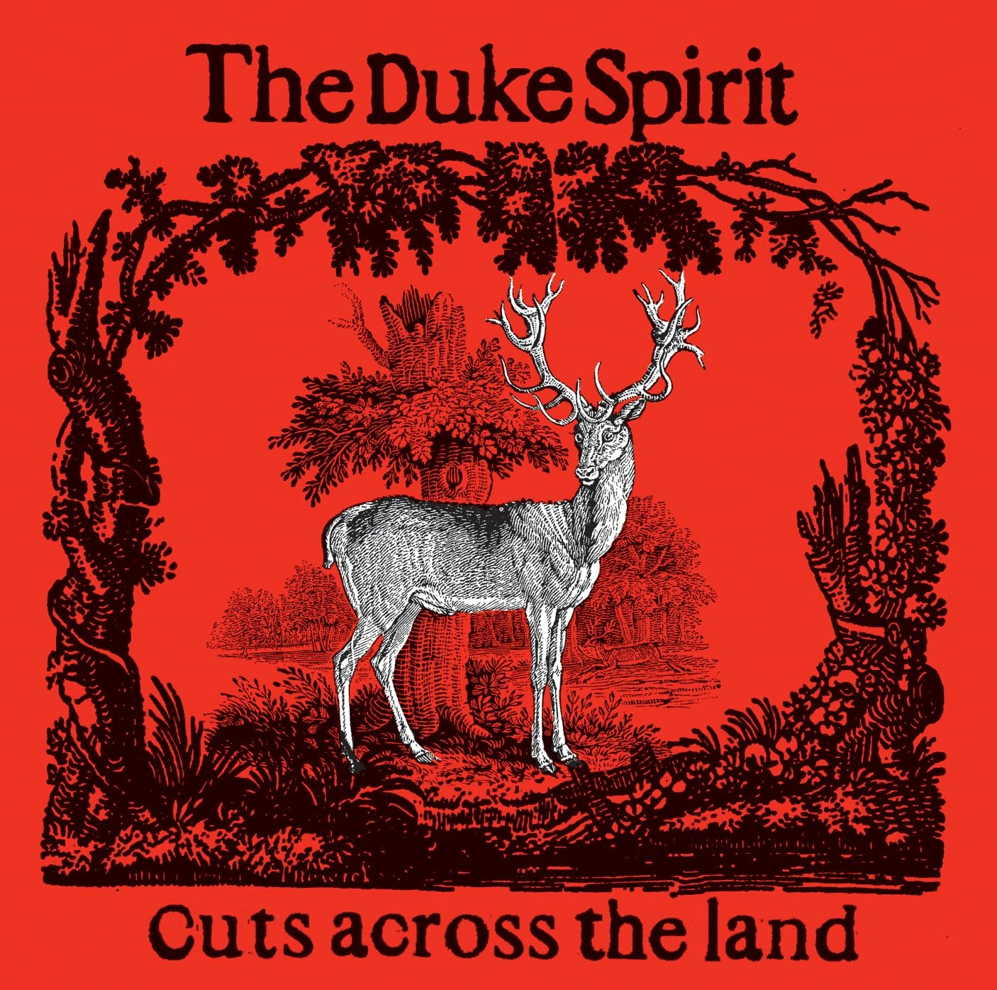 Cuts Across The Land (Deluxe) [VINYL]