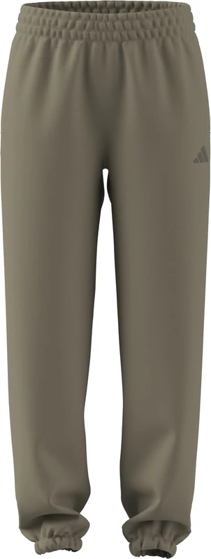adidas Women's Future Icons Small Logo Pant, Wonder Cargo, XS