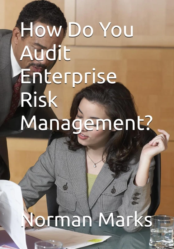 How Do You Audit Enterprise Risk Management?