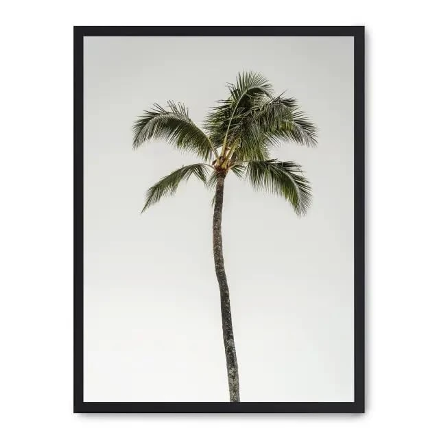 AlexandreHouse Cuadro palm tree by the beach_FASE5