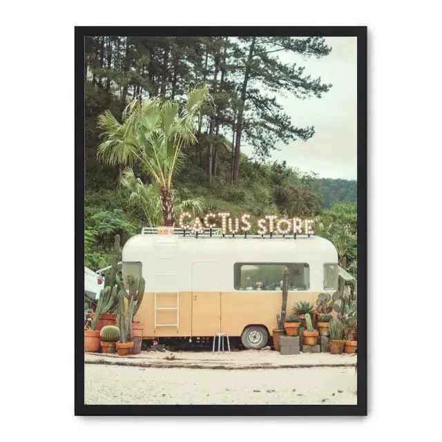 Cuadro Cactus Store_FASE5
