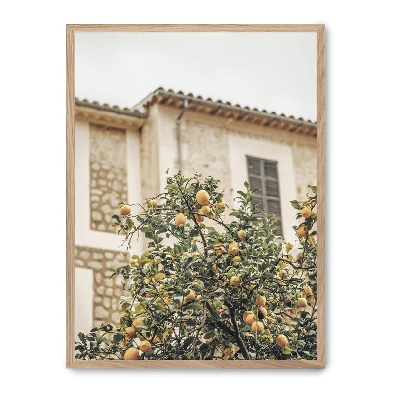 AlexandreHouse Cuadro Lemon Tree_FASE5
