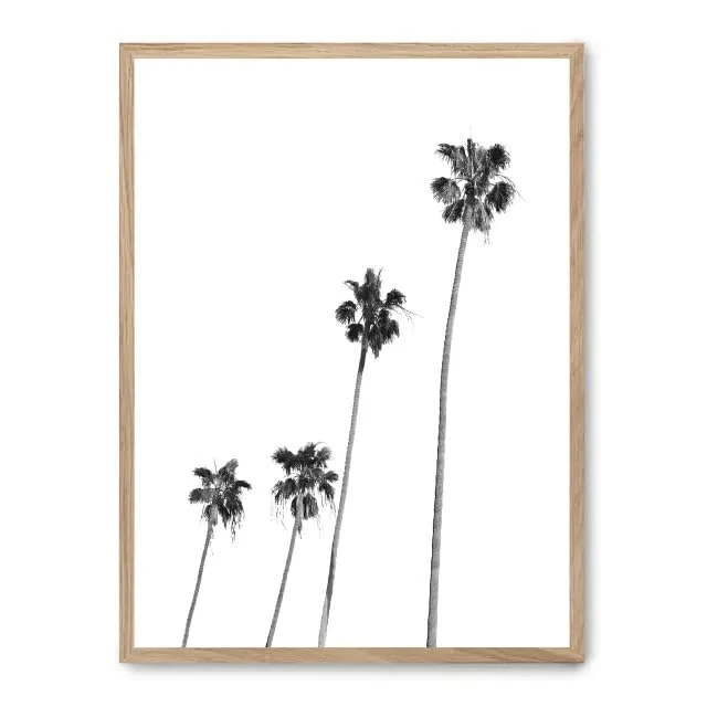AlexandreHouse Cuadro Palm Tree Line Up i_FASE5 - Image 1