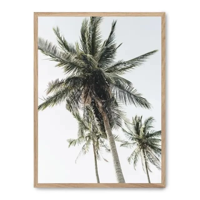 AlexandreHouse Cuadro palm trees from below ii_FASE5 - Image 1