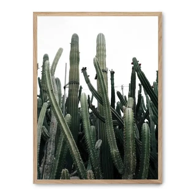 AlexandreHouse Cuadro Cactus iii_FASE5 - Image 1