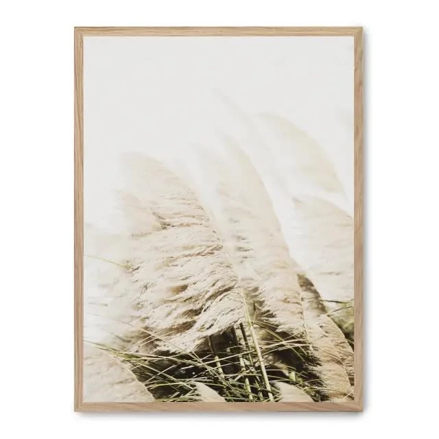 Cuadro Pampas IV_FASE5 - Image 1